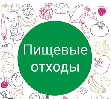 Другое оборудование для кафе, ресторанов: Возьму пищевые отходы