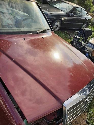 pezo 1: HAUBA MERCEDES W124 | Perfektna — 2