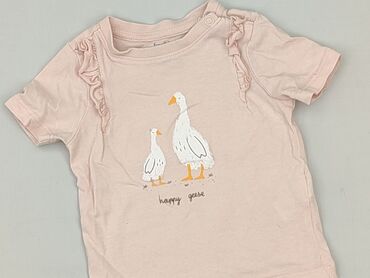 gatta rajstopy wzory: Koszulka, Fox&Bunny, 1-3 m, stan - Bardzo dobry