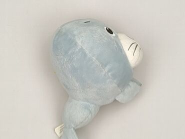 Mascot condition - Very good