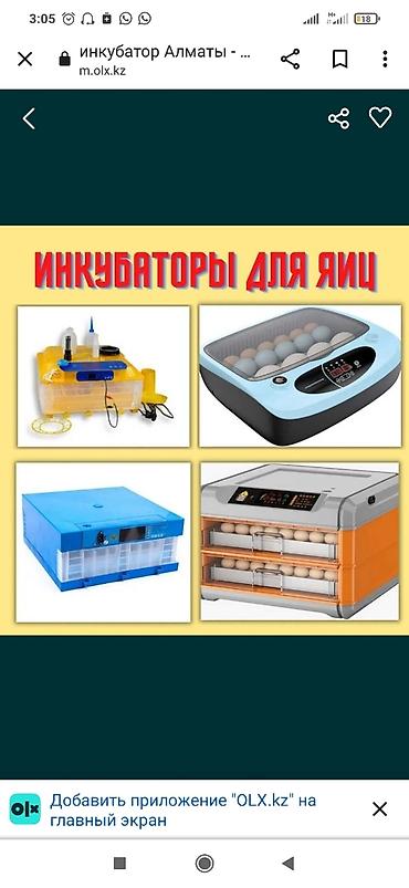 Товары и оборудование для с/х животных: Инкубаторы китайский сатылат жаңы полный автомат свет очсо 12 вольт — 4