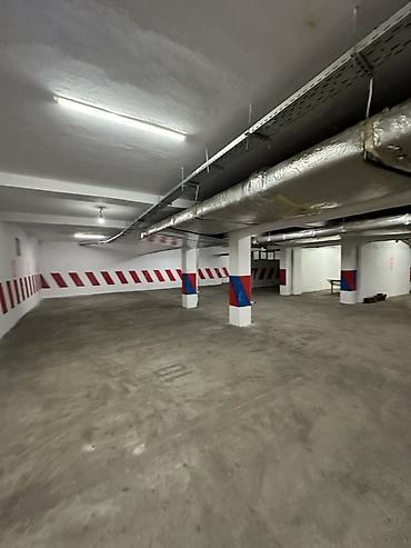 Покраска: Покраска потолков, Покраска стен, Покраска наружных стен, На масляной основе, На водной основе, Больше 6 лет опыта — 10