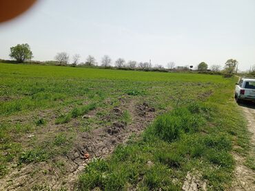 Torpaq sahələrinin satışı: 187 sot, Kənd təsərrüfatı, Barter mümkündür, Texniki pasport -da lalafo.az — 7 Torpaq sahələrinin satışı: 187 sot, Kənd təsərrüfatı, Barter mümkündür, Texniki pasport — 7