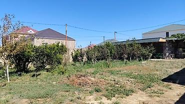 yevlaxda satilan evler: Bağ evi satılır, Məhəmmədidə yerəşir,1 otaq, 1 Mətbəx, sanitar qovşağı — 2