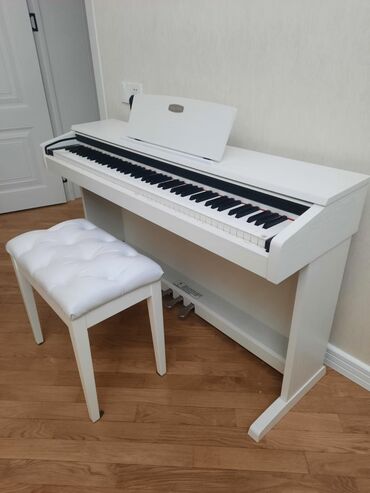 Духовые инструменты: Elektron piano
