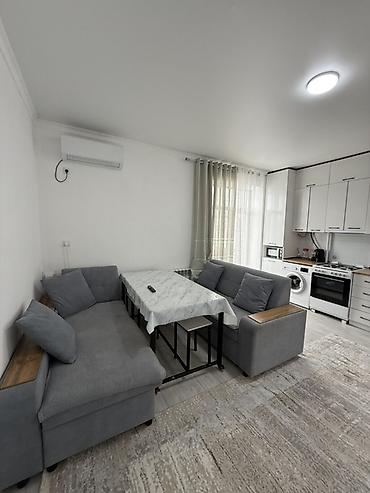 Долгосрочная аренда квартир: 1 комната, Собственник, С мебелью полностью — 1