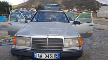 Mercedes-Benz: Mercedes-Benz 250: 2.5 l. | 1989 έ. Πολυμορφικό