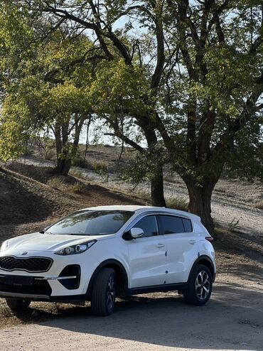 ниссан альмера тино дизель: Kia Sportage: 2020 г., Автомат, Дизель, Кроссовер