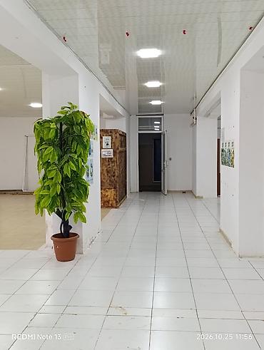resident evil 2: Sumqayit seheri 21ci mkr-da yerlesen sahesi 300m² olan obyekt icareye — 3