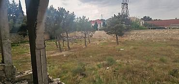 qara qarayev: 24 sot, Biznes üçün, Mülkiyyətçi, Kupça (Çıxarış) — 6