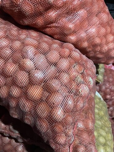 кастрюли большие: Лук