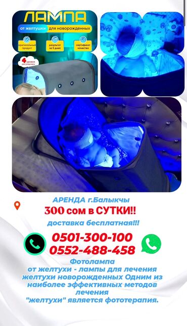 кенгуру для малышей цена бишкек: ФОТОЛАМПА/ОТ ЖЕЛТУШКИ АРЕНДА г.Балыкчы 300 сом в сутки доставка