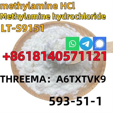 CAS 593-51-1 Methylamine hydrochloride LT-S9151 good price with high
