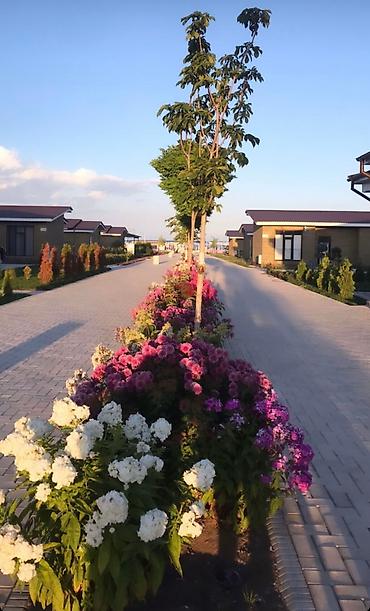 комната ижара: Таунхаус, Palm Beach, Чок-Тал, 6 орун — 2