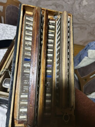 Akkordeonlar: Akustik Akkordeon — 10