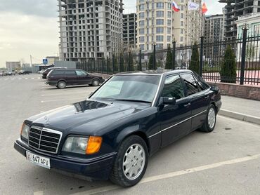 Mercedes-Benz 220: 1993 г., 2.2 л, Механика, Бензин, Седан