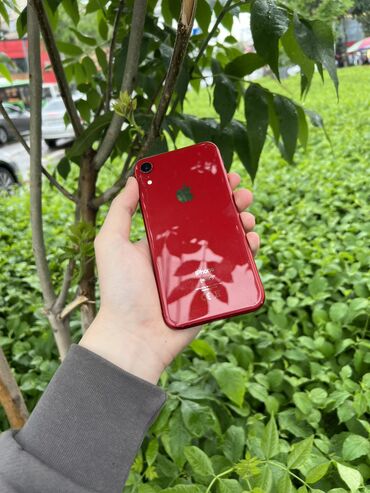 чехол на хр: IPhone Xr, Б/у, 128 ГБ, Красный, Защитное стекло, Чехол, 78 %