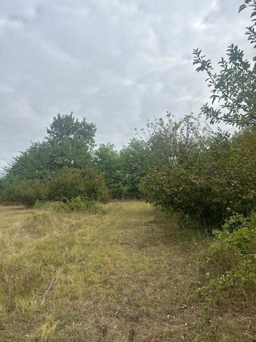 Torpaq sahələrinin satışı: 110 sot, Tikinti — 17