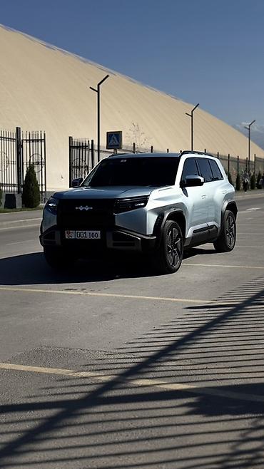 шины на 570: BYD FangChengBao Leopard 3: 2025 г., Вариатор, Электромобиль, Внедорожник — 1