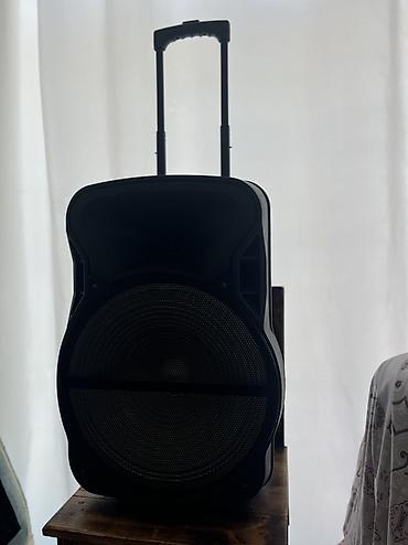 philips genie 2000: Daşınan təkərli akustik kolonka - Güclü ön bass dinamikli, geniş — 1