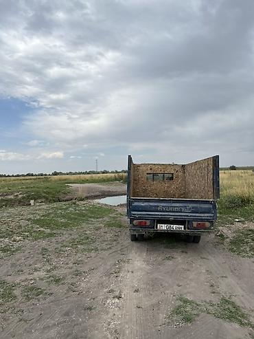 кабина на мото: Легкий грузовик, Hyundai, Дубль, Б/у — 1