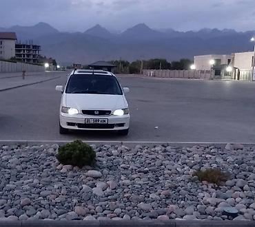 300 000: Honda Odyssey: 1999 г., 3 л, Автомат, Бензин, Минивэн — 7