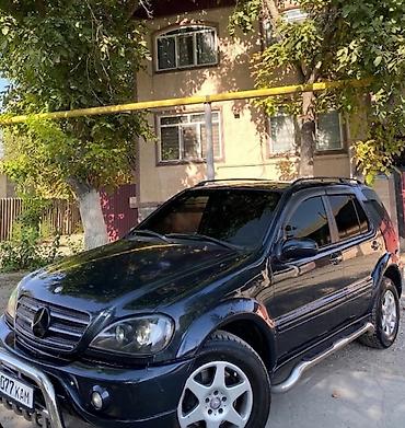 Mercedes-Benz ML-Class: 2002 г., 4 л, Автомат, Дизель, Жол тандабас