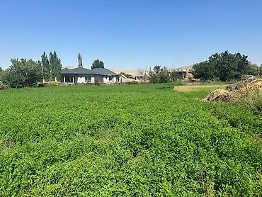 Продажа участков: 20 соток, Для бизнеса, Красная книга — 5