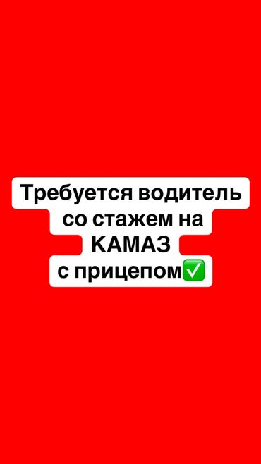 Водители грузового транспорта: Требуется Водитель грузового транспорта, Категория прав (C1), Более 5 лет опыта, Мобильная связь/интернет, Мужчина