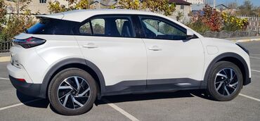 BYD: BYD : 2022 г., Автомат, Электромобиль, Кроссовер — 10