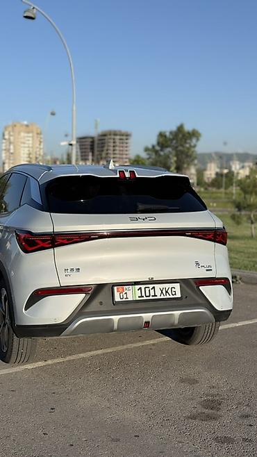 byd 2025: BYD Yuan Plus: 2025 г., Автомат, Электромобиль, Кроссовер — 6