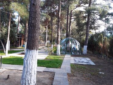 Restoran, kafelər: Sumqayıt şəhəri Nəsimi Parkında Meşəlik ərazidə yerləşən, açıq — 5