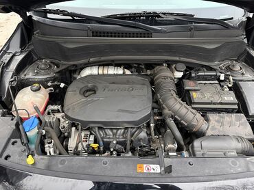 Kia: Kia Seltos: 2020 г., 1.6 л, Автомат, Бензин, Кроссовер — 15