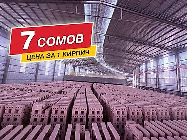 горшок глиняный: Пустотелый, дырчатый, Жженый кирпич, Полублок, 250×120×90 — 2