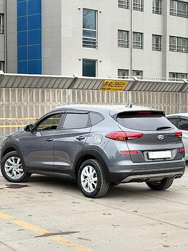 Hyundai: Hyundai Tucson: 2019 г., 2 л, Автомат, Дизель, Кроссовер — 5