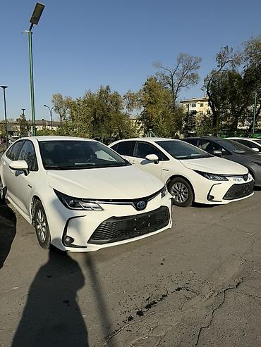 honda corolla: Toyota Corolla: 2020 г., 1.8 л, Вариатор, Гибрид, Седан — 4