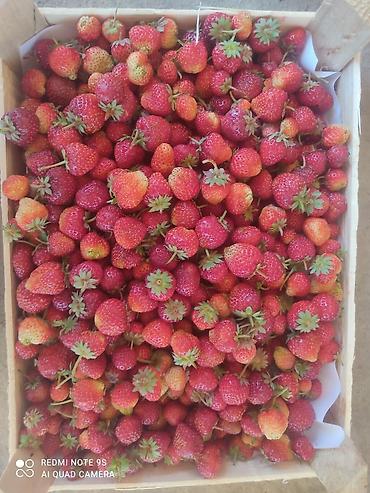 Малина: Малина Платная доставка — 7