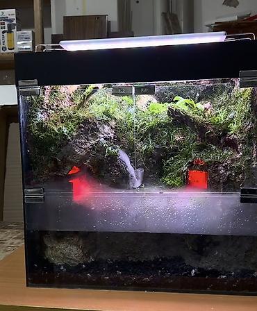 Akvarium aksesuar və ləvazimatları: Terrarium/Vivarium dekorativ sistem – duman generatoru və LED — 4