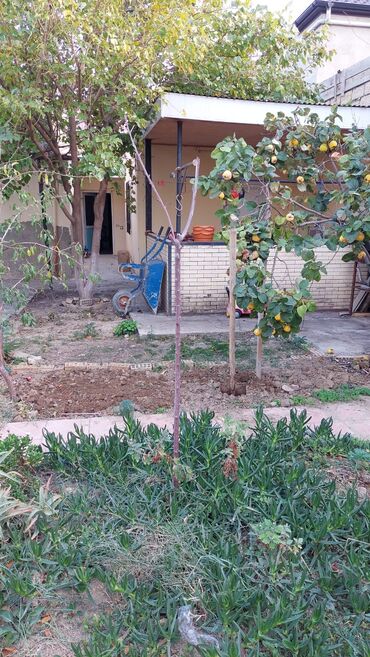 Həyət evləri və villaların satışı: 6 otaqlı, 26 kv. m, Yeni təmirli — 10