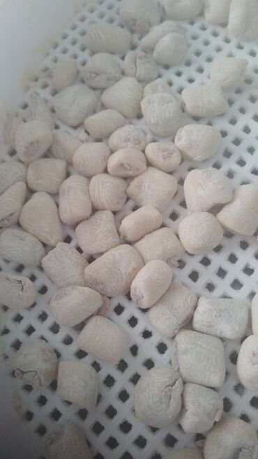 Un məmulatları: Hünkar süfrəsi Zaqatala yalnız qadınlar üçün nəzərdə tutulan kiçik — 2