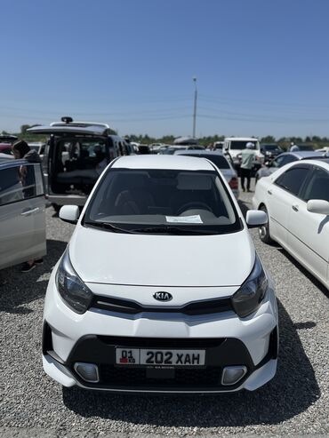 авто из кореи в наличии в бишкеке: Kia Morning: 2020 г., 1 л, Автомат, Бензин, Хэтчбэк