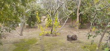 Həyət evləri və villaların satışı: 7 otaqlı, 150 kv. m, Kredit yoxdur, Orta təmir — 18