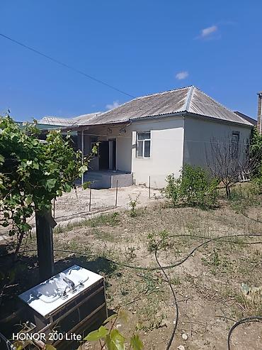bağ evi: Binə safxozda. Ələkbər inşaat yaxın 190 nömrəli marşurutun yolu — 5