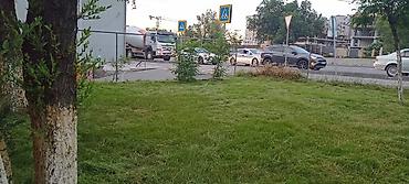 сегментный косилка: Уборка территории — 3