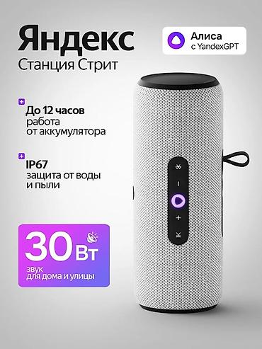 Динамики и колонки: Яндекс Станция Стрит — умная портативная колонка с голосовым — 1