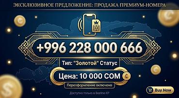 билайн номер на выбор: Премиальный мобильный номер: +996 228 000 666 Характеристики: - Тип — 1