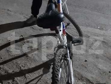 barter velosiped: Uşaq/yeniyetmə üçün dağ velosipedi - Rəng: ağ, qırmızı-mavi qrafika - — 2