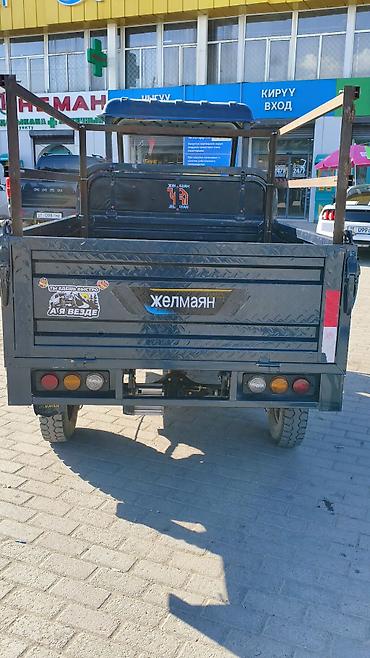 Легкий грузовой транспорт: Легкий грузовик — 3