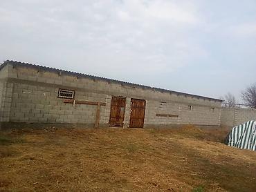 Farm КРС, 10 соток, Действующий, Частично с оборудованием, Электричество, Скважина, Холодная вода