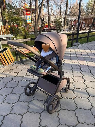 Коляски: Коляска «Anex flo»
Цвет кофе/коричневый — 2